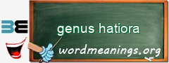 WordMeaning blackboard for genus hatiora